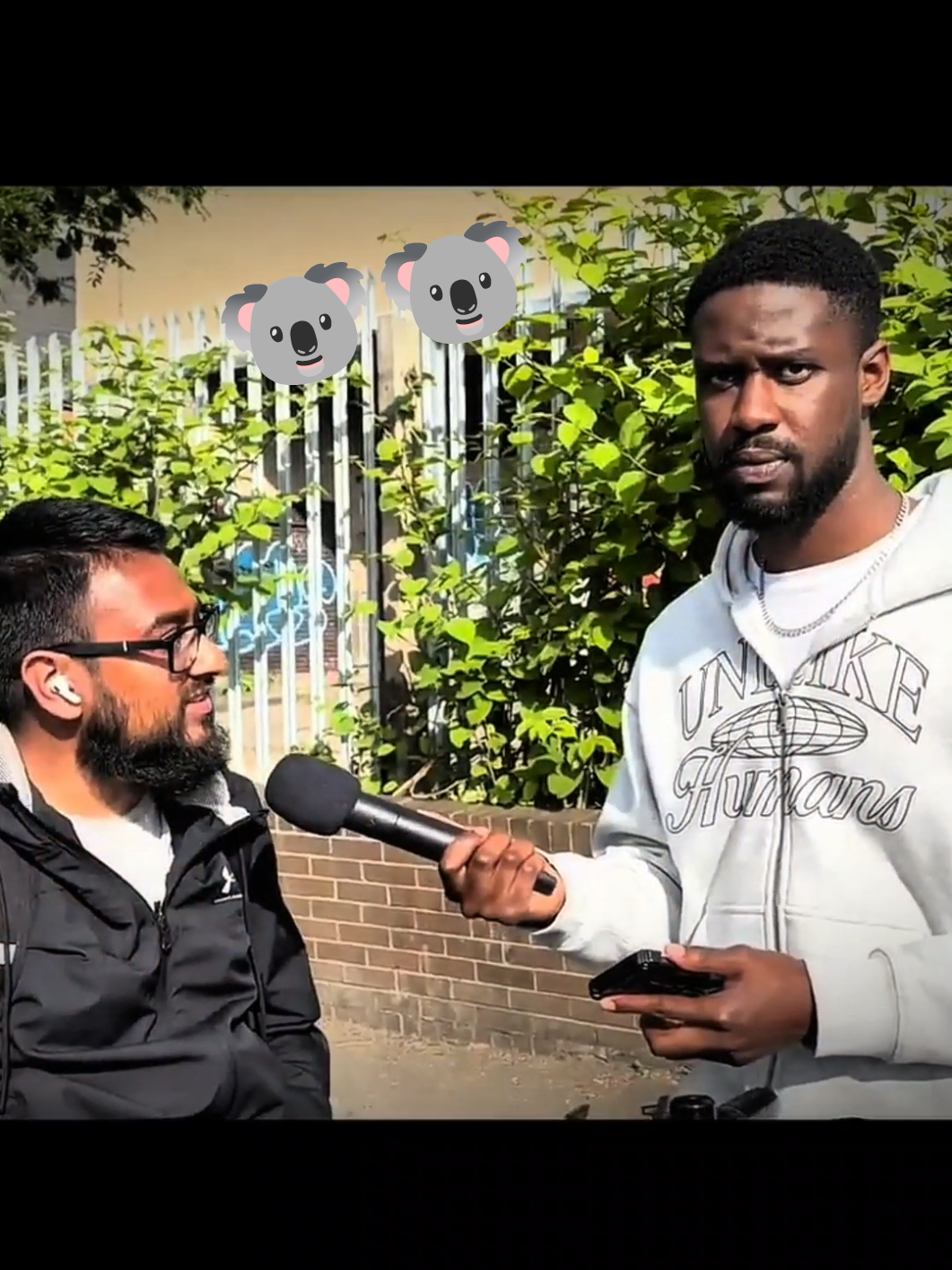 #interview #koala #human #publicinterview #public #qna 