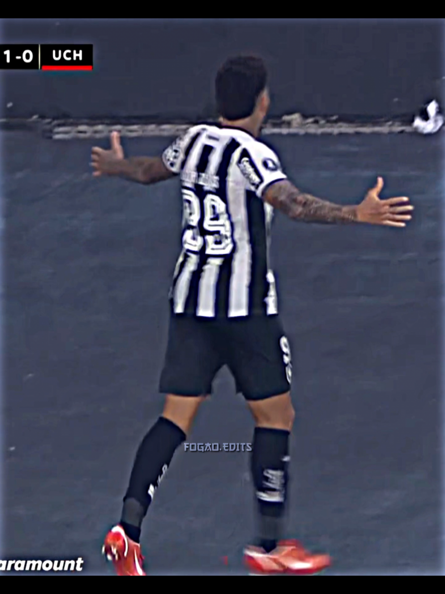 CLASSIFICADOS🔥🔥🔥🔥🔥#botafogo #fogaoedits #edit #futebol #libertadores 