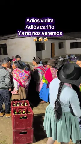 #huaynosperuanos🇵🇪 