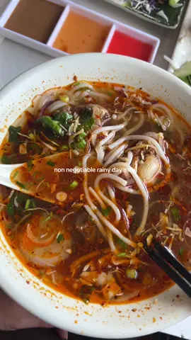 Finally rain in Colorado ☔️ #rainydayvibes #rainydayfood #vietnamesefood #pho #bunbohue #oxtailpho 