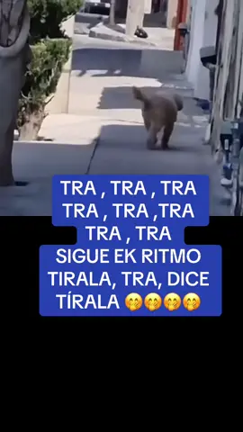 #duet with @Chapis13 #Recuerdos 