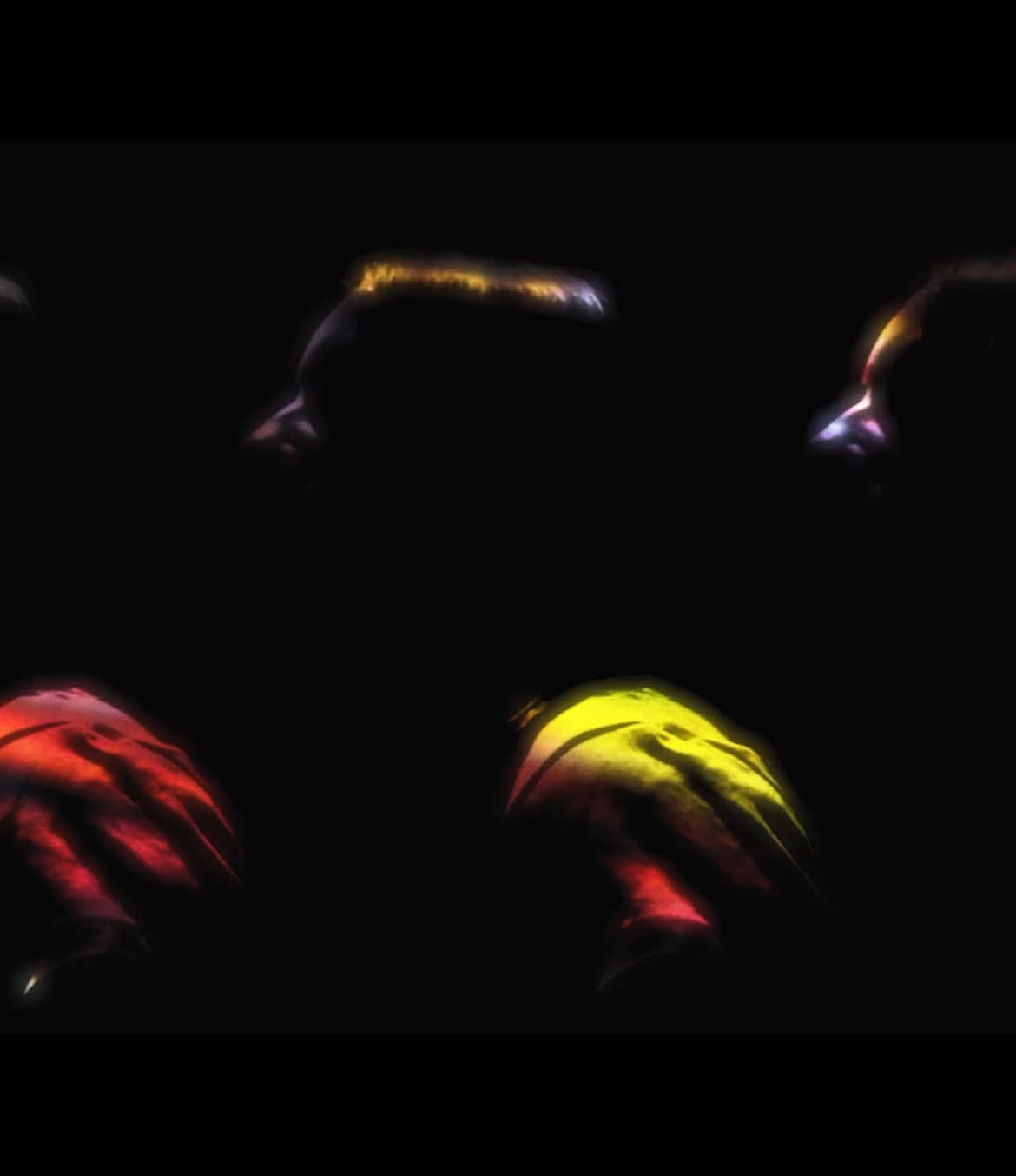 Where will you go? #videography #colorgrading #radiohead #weirdfishes #dreamscape #cinematography 
