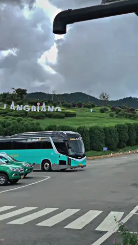 🚌 kính đen auto ngầu😎😎#kiagranbird #xekhachvietnam🇻🇳 