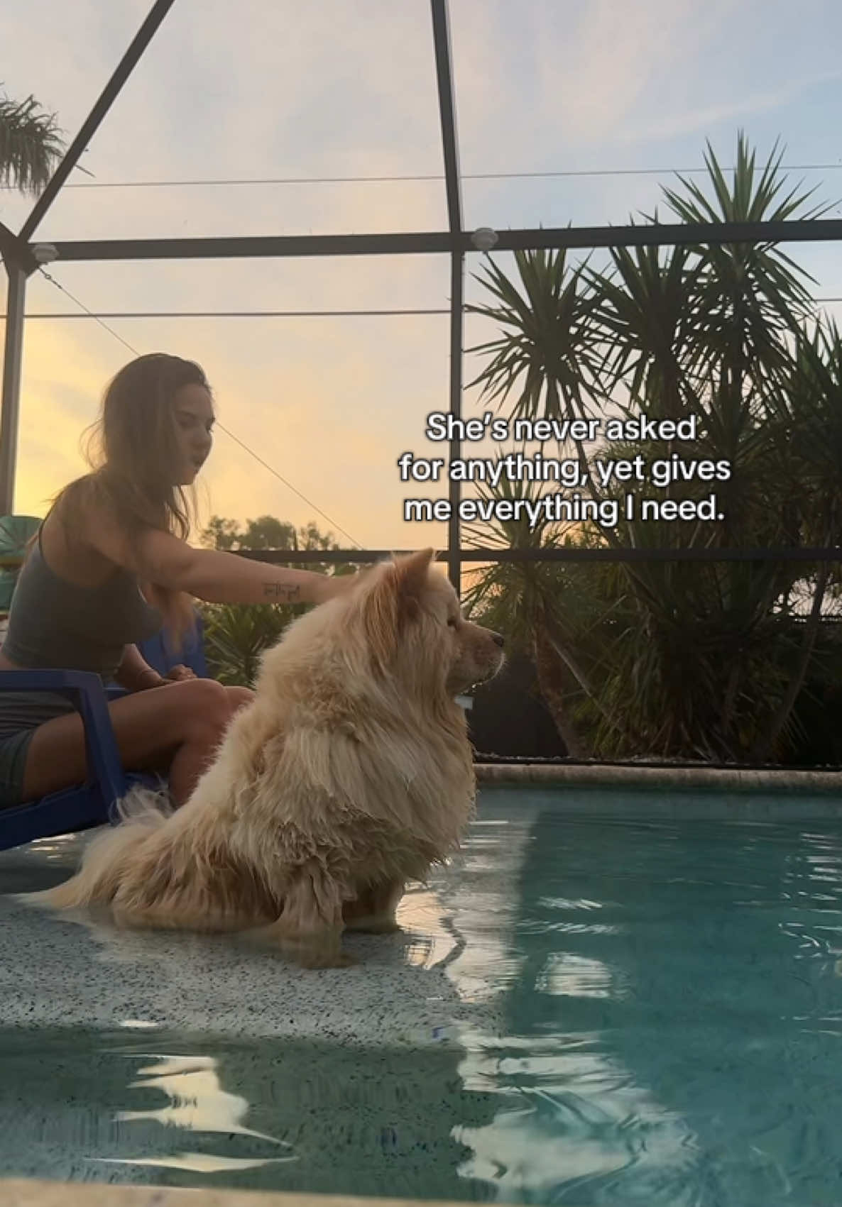 my girl 4L 😭 #chowchow #chow #dogbestfriend #puppy #dogsoftiktok #chowpuppy #puppy #dog #dogtok #dogmom #aliahweezyyy #koathechow #koa 