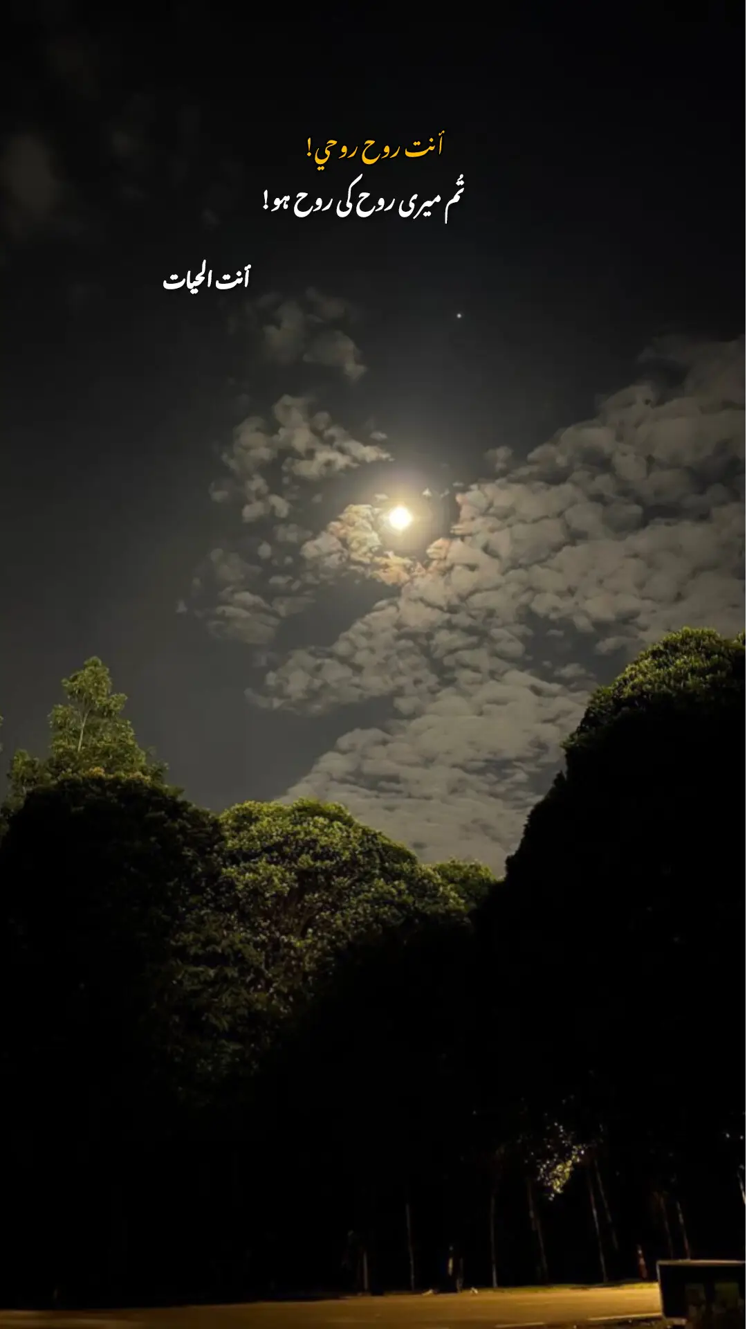 #fyp #fypppppp #forupage #kashmiri #urdu #arabic #quotes #motivation #a 