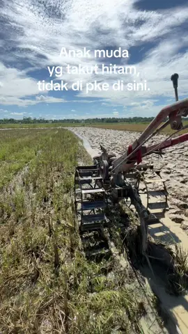 Kembali ke pekerjaan utama😆#menyalaabangkuh🔥#anakpetani🌾 #petanipadi #bukananakbos #cumananakpetani🌾💪 #petanimuda 