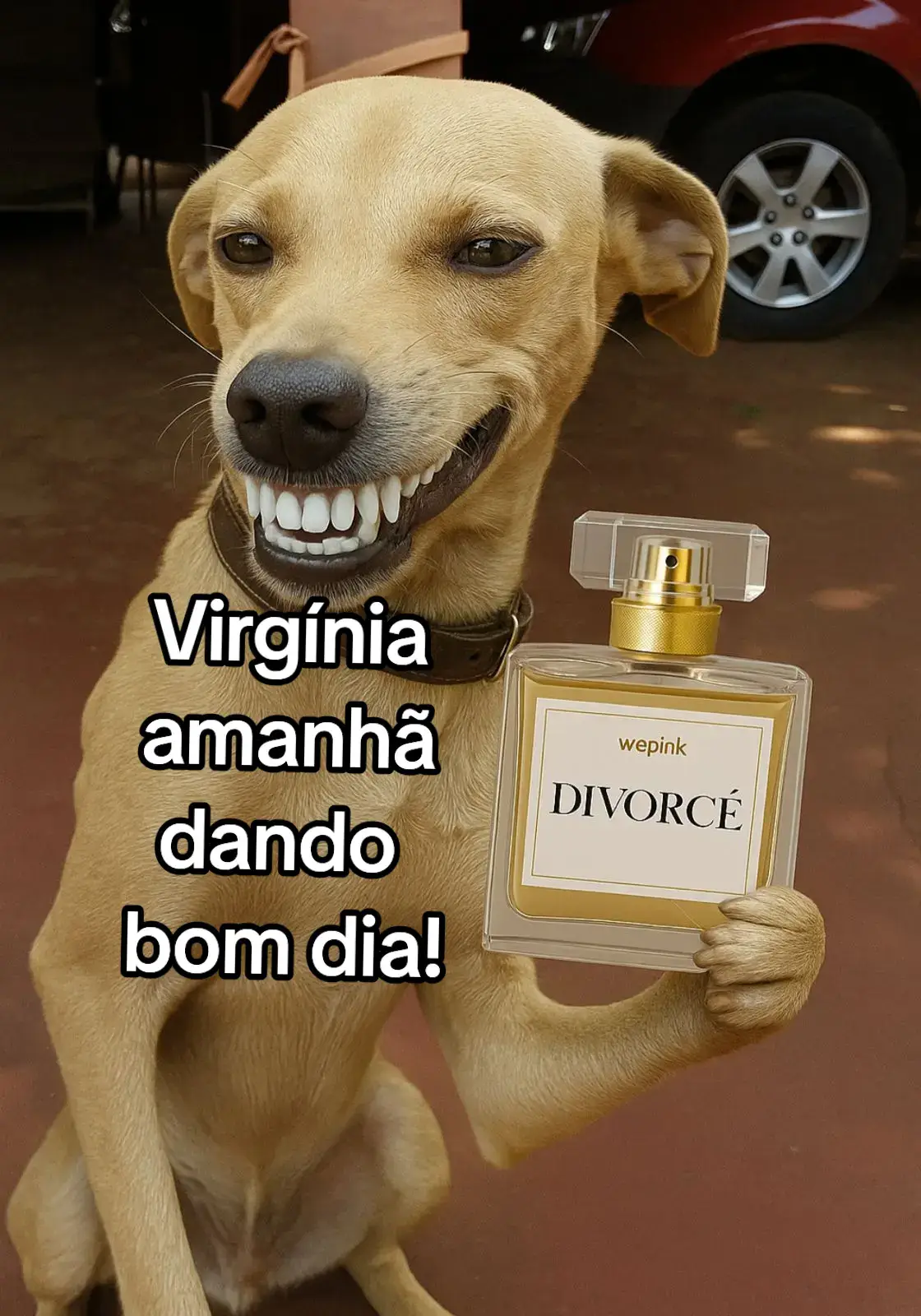 #wepink #wepinkvirginia #wepinkbeauty #wepinkbr #wepinkperfume #bomdia  #wpink #perfumedavirginia #virginiafonceca #zefelipecantor #zefelipeevirginia 