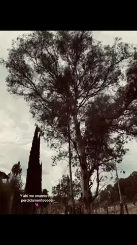 #tik_tok #viralllllll #follow #fypシ゚ #viral_video #amordetuvida #sigueme❤️ #pppppppppppppppp #popular #viralditiktok #oryoupage #sigueme_y_te_sigo #paratiiiiiiiiiiiiiiiiiiiiiiiiiiiiiii #paratii #viraliza 