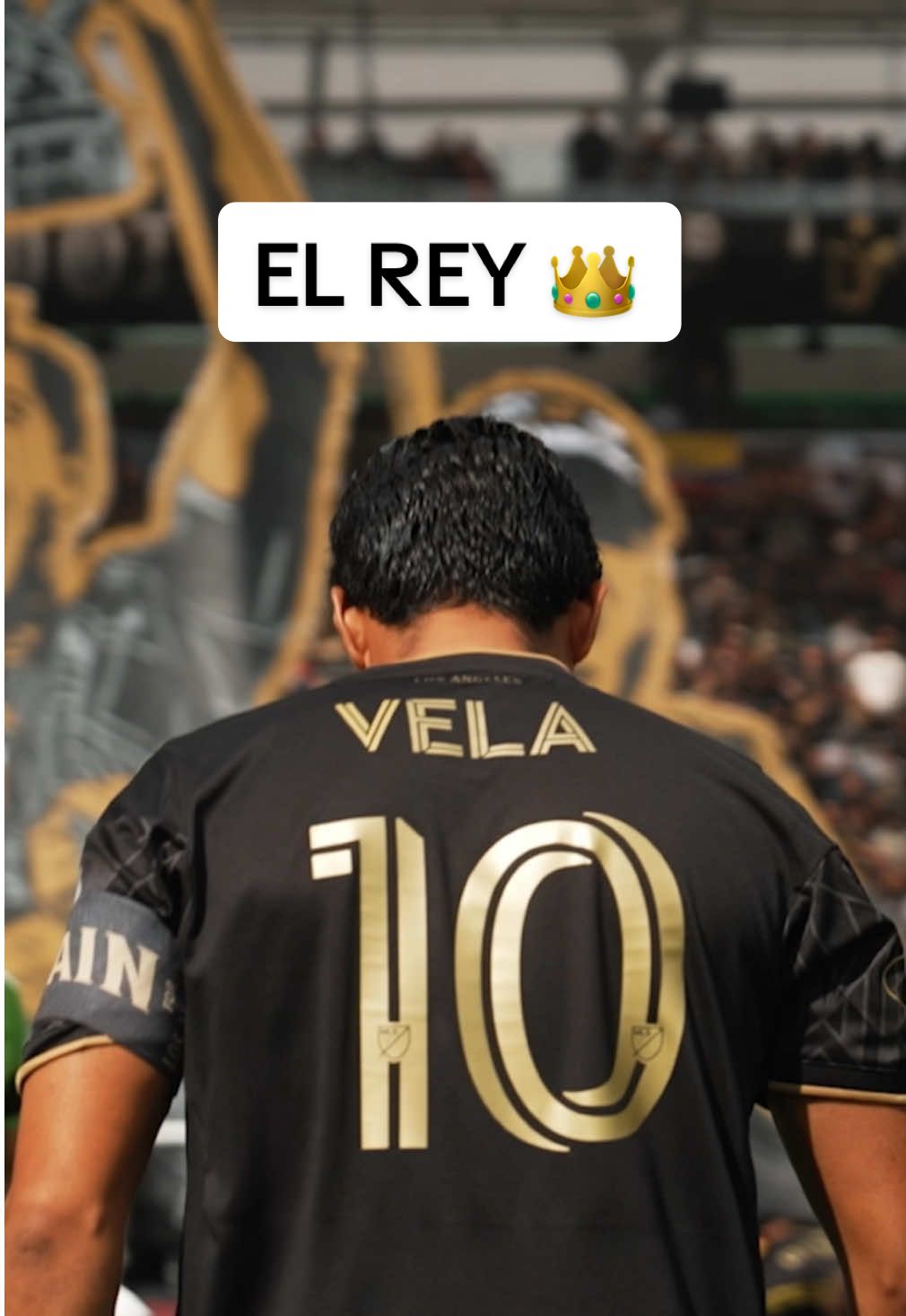 Te amamos Rey 👑 🫶🏼 #LAFC #CarlosVela #Football #retirement #ElRey #Mexico #LosAngeles 