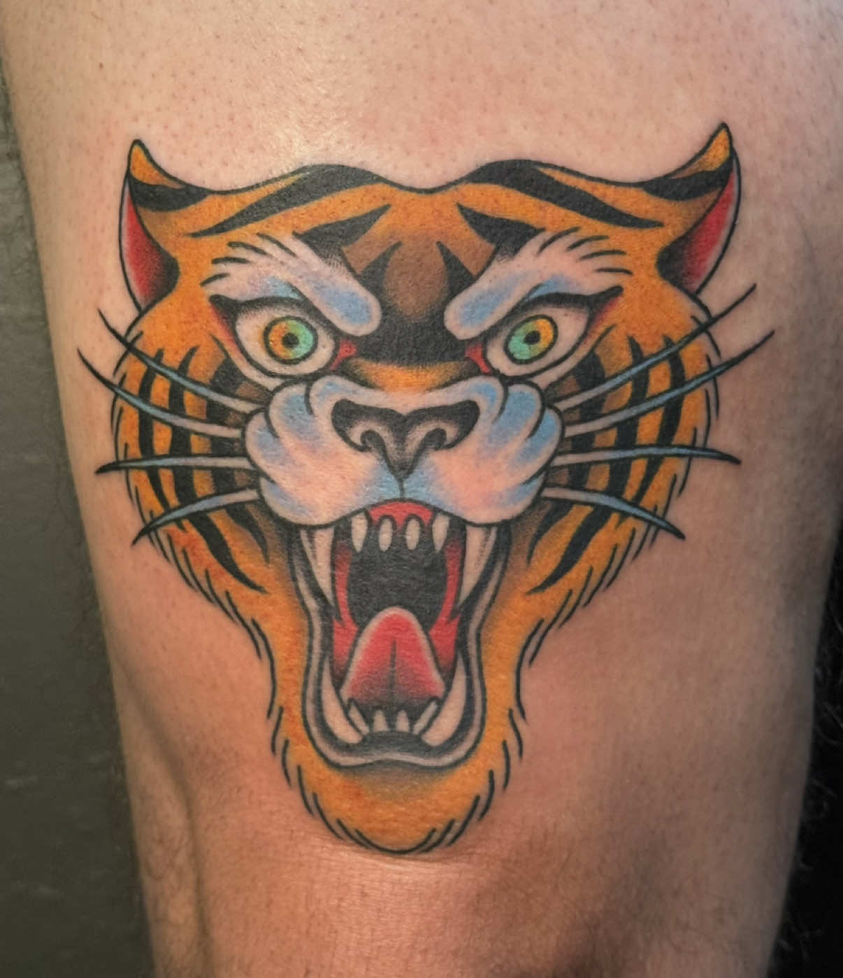 Cat tats are my fav, thanks David!! #tiger #tigertattoo #americantraditional #traditionaltattoo #arizonatattooartist #aztattooartist 