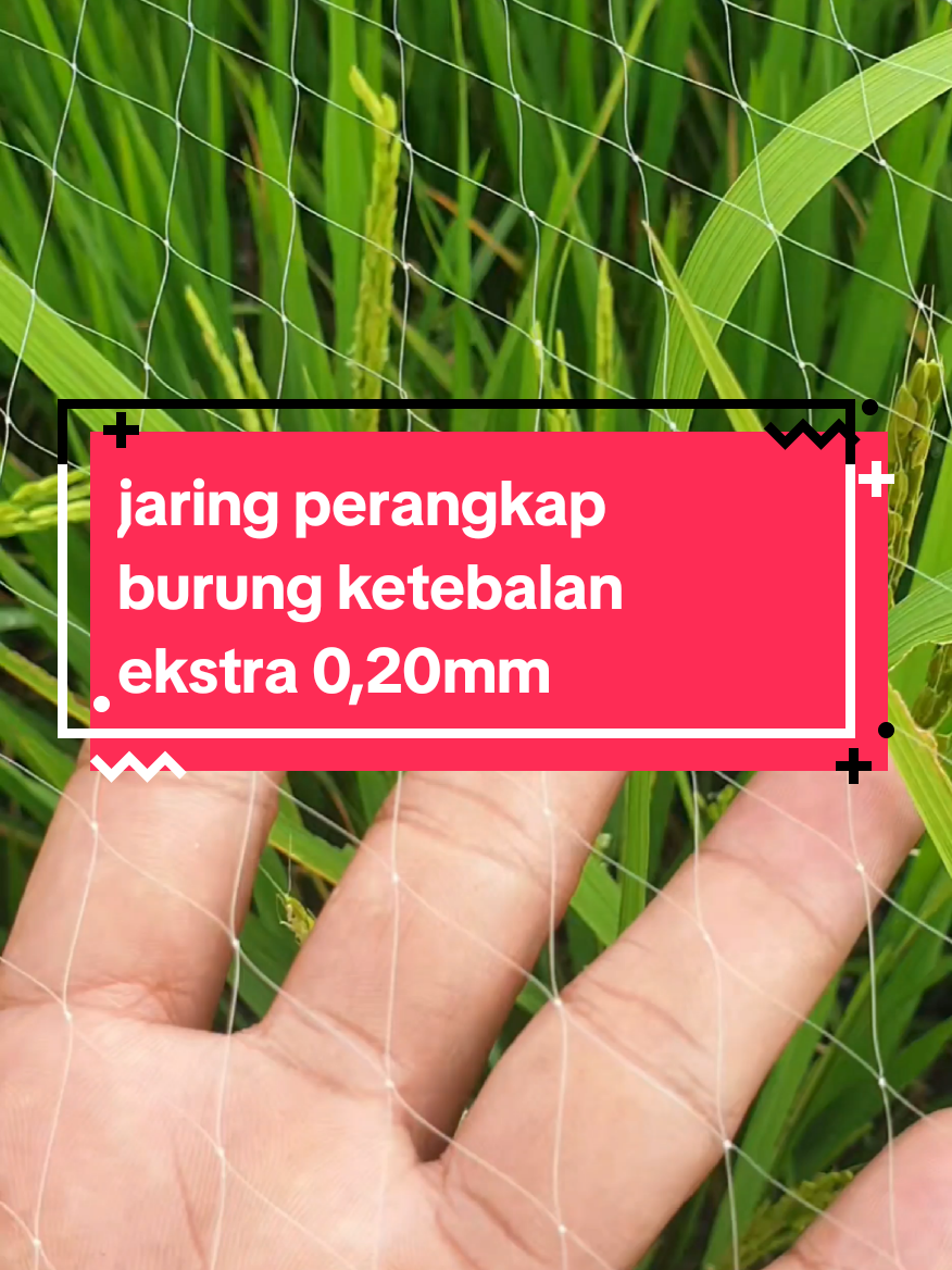 Jaring pertanian/jaring ikan ketebalan extra 0,20mm #jaringperangkapikan #jaringperangkapburung #jaringsawah #jaringburung #jaringikan #hargaspesial #gratisongkir #promospesial 