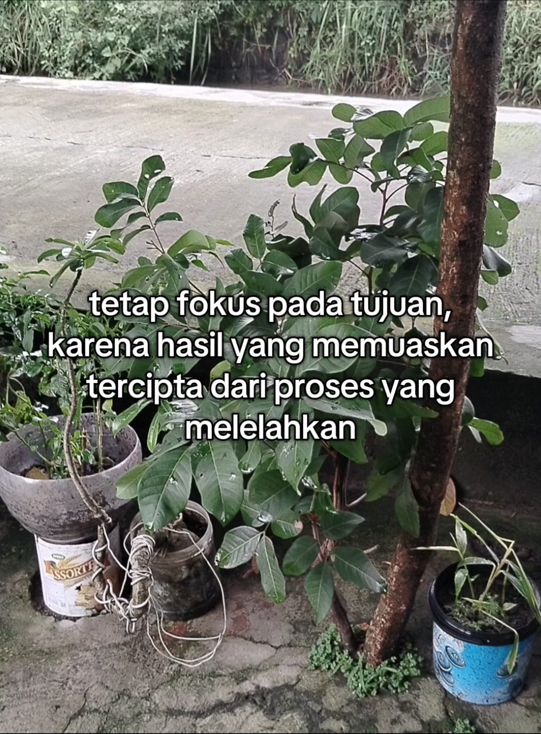 semangat afiliator pemula😍 #affiliate #affiliatorpemula 