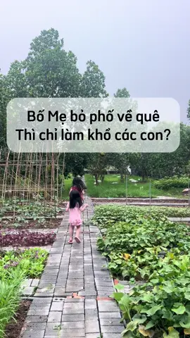 “Mẹ lạ thật, chẳng đưa con đi trung tâm thương mại, hay cho con pizza, xúc xích như Mẹ các bạn” - Ừ nhỉ? Mẹ cứ làm vườn, rau cỏ, ở bên con, nuôi con và nuôi tuổi thơ con như thế, có được không con?#bophoveque #lamvuon #trongrau #kinhnghiemlamvuon #lamvuonvuive #gaipholamvuon 