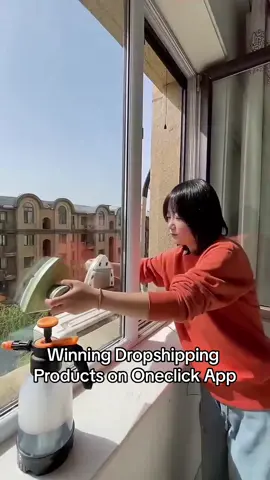 Double Side Magnetic Window Cleaner, Sell trendy products with Oneclick dropshipping app  https://app.oneclick-dropshipping.com/RetailerLogin/Register/MzI0 #free_dropshipping_app  #oneclick_online_service #oneclickonlineservice #dropshippingsupplier #dropshippingproducts #trendyproducts #dropshipping 