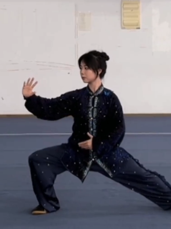 Trả lời @baoconcualuumanh  Chúc các bạn thành công ❤. #lamvanbenho #ThaiCuc #VoThuatTrungHoa #KungFu #TaiChi #WuShu #Douyin  #太极 
