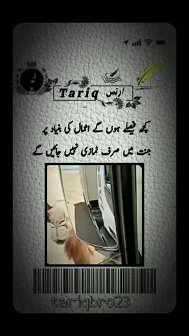 #creatorsearchinsights #deeplines #deepurdulines #deeppoetry #deep #deepshayari #shayeri #urdupoetry #urdupoetry #deep #fyp #viral #foryou #deeplines #foryoupage #foryoupage #foryoupage 