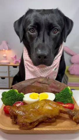 #labrador #cute #dog #pet #feed 