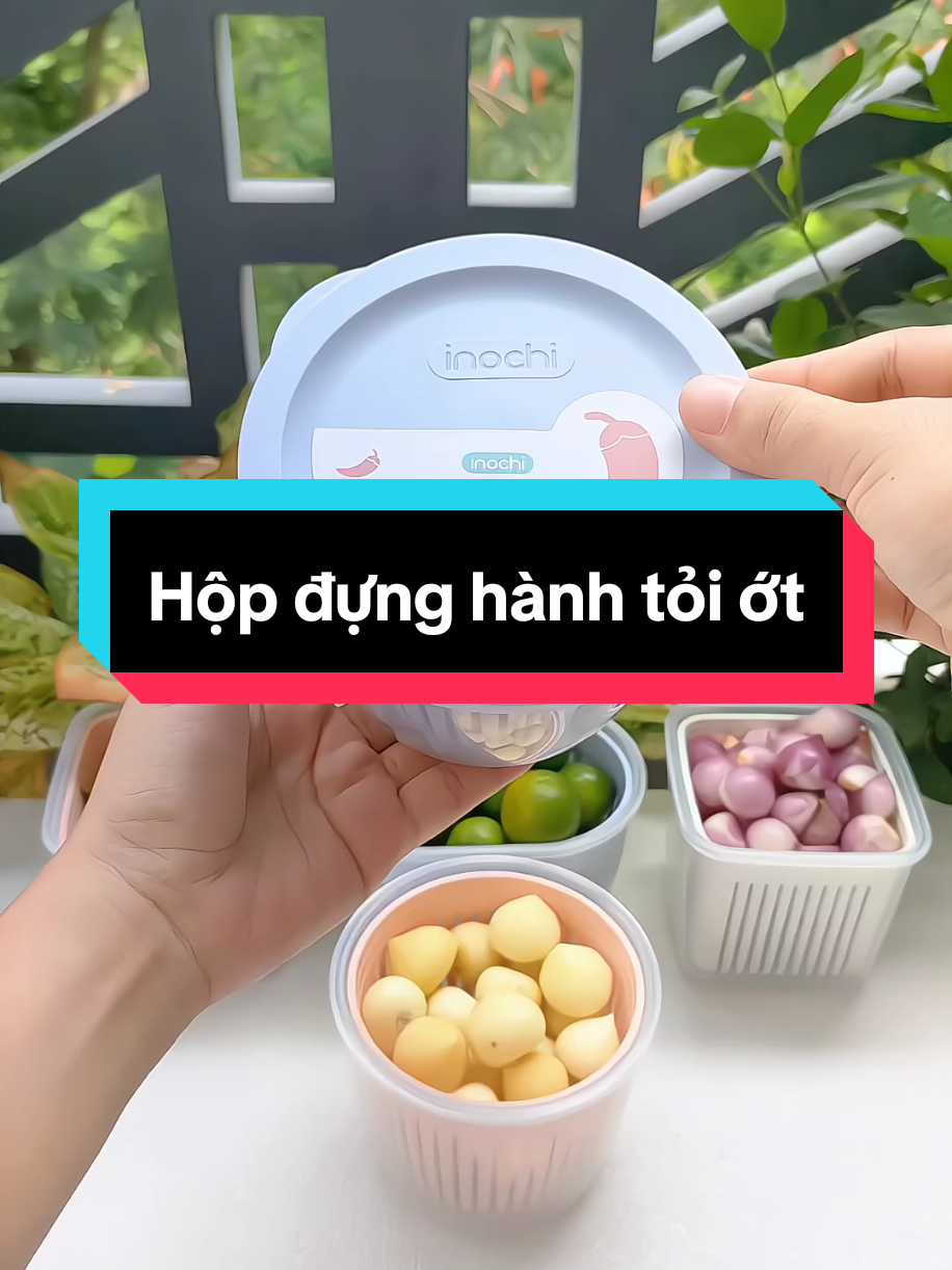 Hộp đựng hành tỏi ớt Inochi bảo quản tủ lạnh #hopdunghanhtoi #hopdunghanhtoiraonuoc #hopdunghanhtoidetulanh #hopdunghanhtoiot #hopdunghanhtoiinochi 