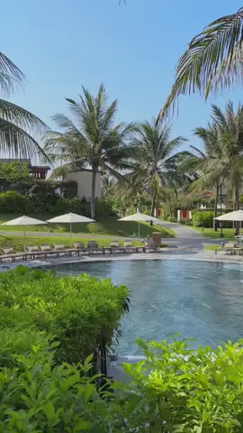 Mùa hè này, bạn đã sẵn sàng 