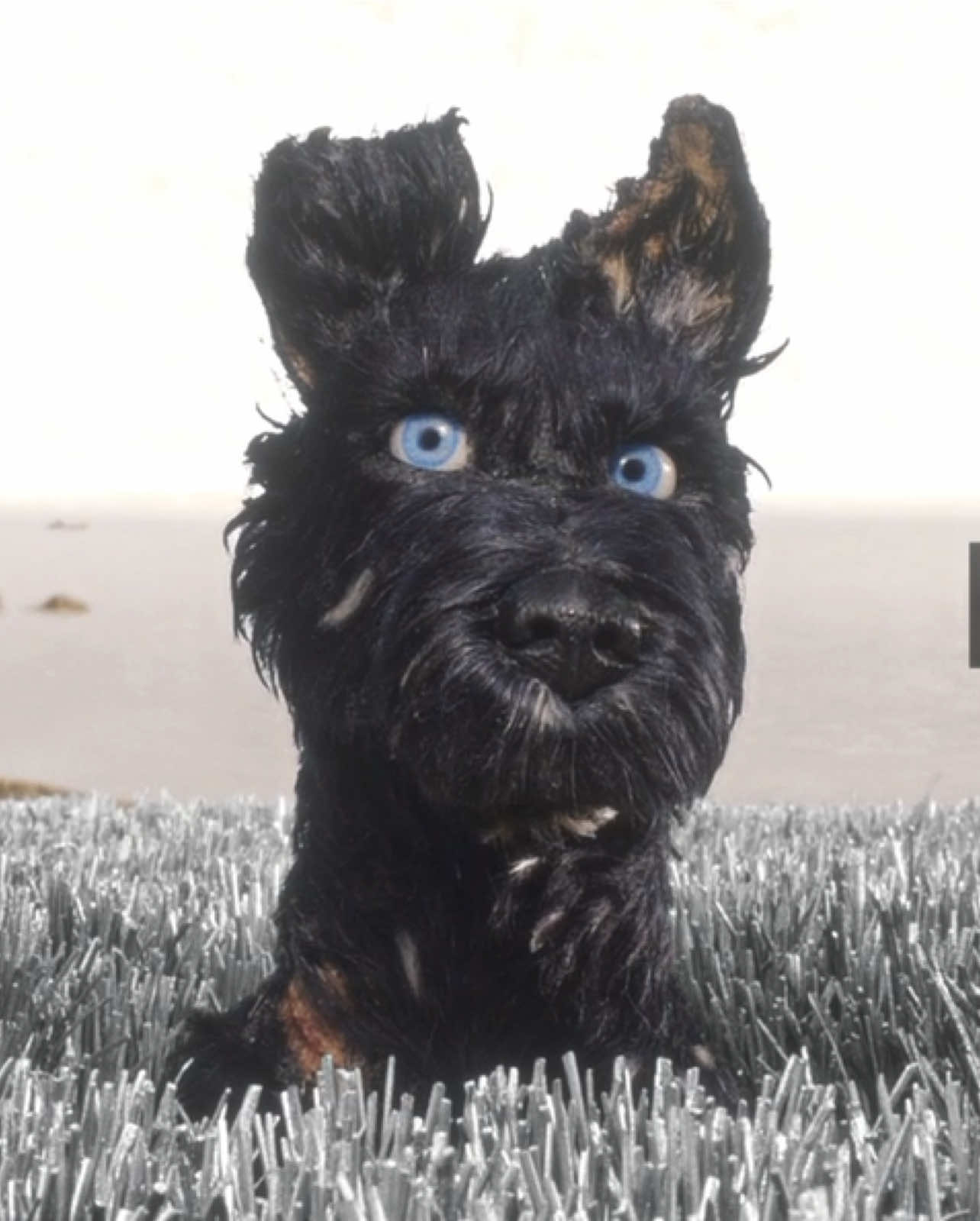 I think shortening the length of the video fixes the audio problem, anyways this movie is so good def a favorite of mine. filler edit cuz my birthday was on the 25th ive been busy #isleofdogs #ibite #bryancranston #movie #edit #fyp #tiktok #xyzbca 