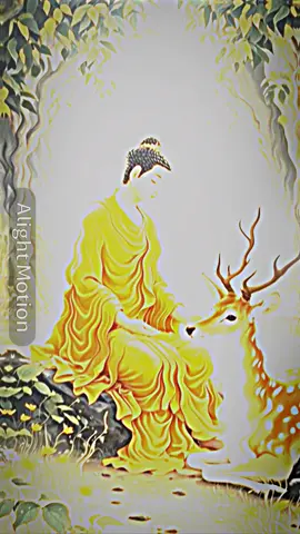 #☸️☸️🙏🙏🌸🌺🙏🙏☸️🌸🌺🌺 #☸️☸️🌷🌷🌷 #☸️☸️🙏🙏🌸🌺🙏🙏☸️🌸🌺🌺 #☸️☸️🙏🙏🌸🌺🙏🙏☸️🌸🌺🌺 
