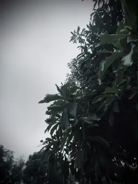 “我们曾经很爱彼此，只可惜没能一起走到最后。” “Chúng ta đã từng rất thương, chỉ tiếc là không thể đi cùng một đoạn đường đến cuối.”