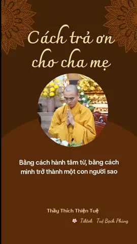 Cách trả ơn cho cha mẹ. Thầy Thiện Tuệ giảng. #nghephapmoingay #nammobonsuthichcamauniphat #phatphapnhiemmau #samhoi #phatgiao #thichthientue #tuebachphung 