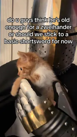 Found this thing a few days ago. (He’s a little scared of my other costumes, so I’m socializing him as a Hospitaller.) #cat #catsoftiktok #kitten #kittensoftiktok #knight #armor #cosplay #medieval #medievaltiktok 