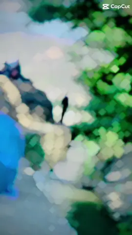 💔😐🥺👀#zaibullah711 #تاجیک_هزاره_ازبک_پشتون_ترکمن🇦🇫pokhtoon #repost #FΛㄈҚ_þƐØþŁƐ @✿.｡𝓏𝗶ά𝒌𝒉𝓪ท.:* ☆ @🍷YOUNAS 46king👑 @M A L A K✨ 