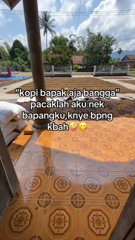 #petanikopilampungbarat #kebonkopi #fyp #kopimahalbossku #pckl #bdtiktokofficial #gunungterang #kopi #😜😜😜 #fypkopi #sukasukasaya 