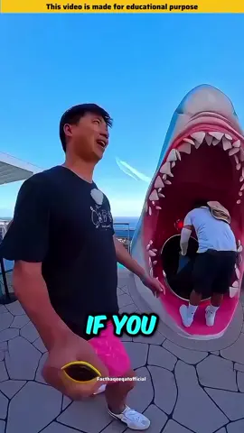 Did You Know?  #facts #interestingfacts #factsoflife #DidYouKnow #sciencefacts #factsdaily #Science  #Astronomy  #space  #fact  #realitfeelit  #viral #foryouシ #foryoupage #contentcreator #instagramreels #instgramgrowth #viralreels #trendingreels 