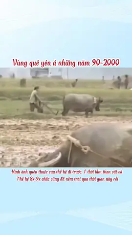 Những năm tháng quê hương ta còn khó khăn vất vả ‘’Con trâu đi trước cái cày theo sau’’ cuộc sống nông thôn chủ yếu dựa vào nông nghiệp  #Kyucxua #nongthonvietnam #nongthonbacbo #quehuongvietnam #vietnamtoiyeu #hanoixua #bacbo #nongthonmienbac #mienbac 