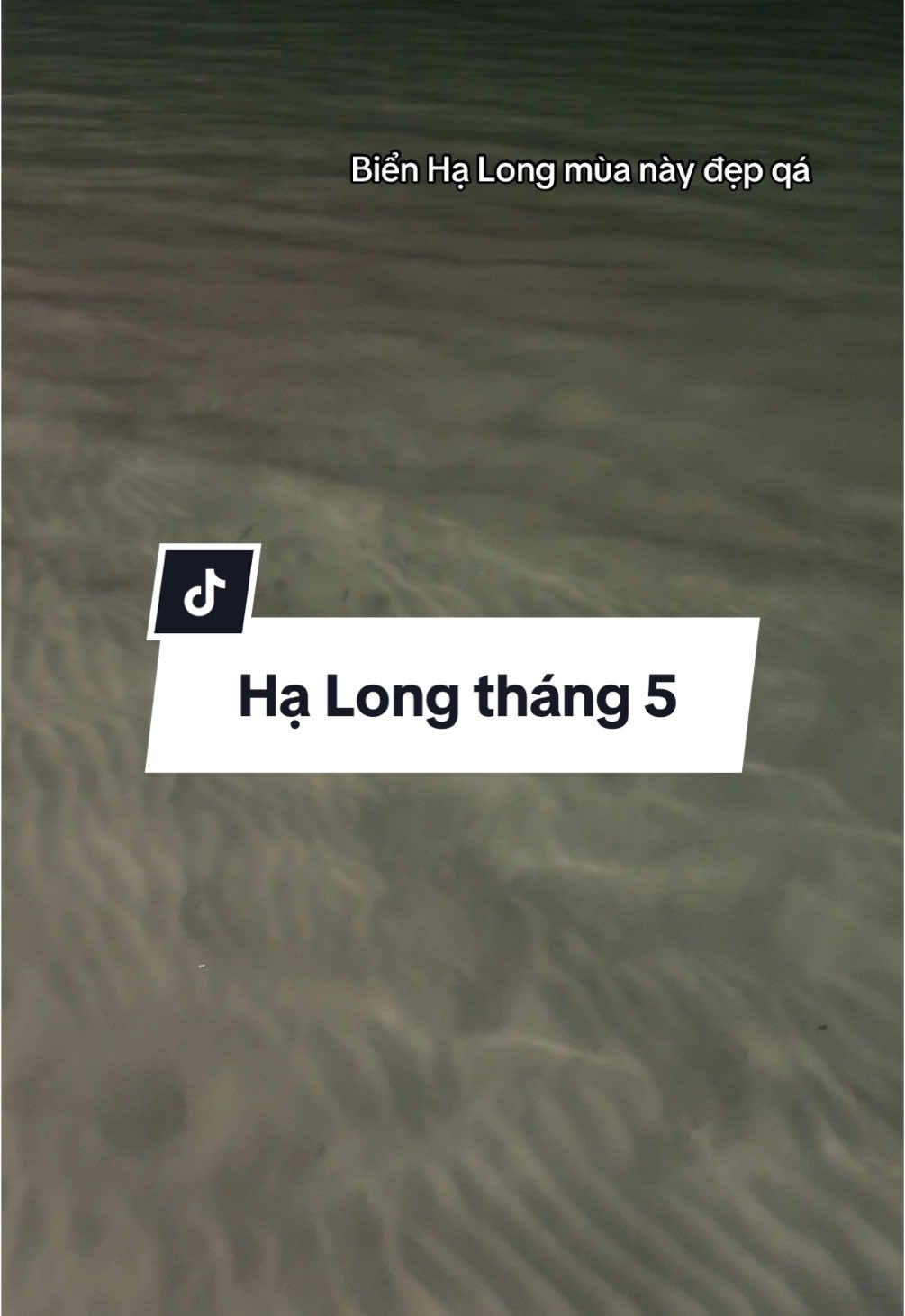 Biển Hạ Long mùa này đã quá. Đi ngay cho tuii  🫵  #halong #bienhalong #dulichhalong #reviewhalong #dulichhalong #reviewhomestayhalong #homestay #viral #fpy 