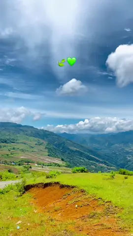 #pattinjo #lettagaroton🥀🦅 