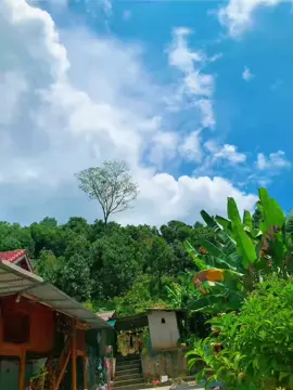 Nhà Sàn , Gái Bản 😍 #ThônYênPhú #XãVĩnhLạc #lụcyênyênbái #xuhuonggggggggggggggggg #xuhuonglenview #phule #taybac 