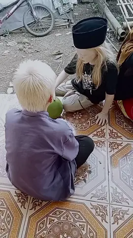 ngarujak heula lurr #fyp #dailylife #albinogarut 