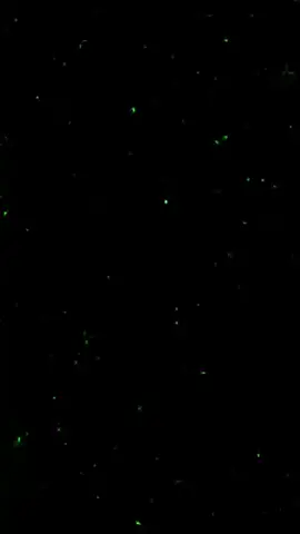 sù bê su #xuhuongtiktok #x #h #funk #xuhuongtiktok #phonk_music #subesu #phonk #xuhuongtiktok 