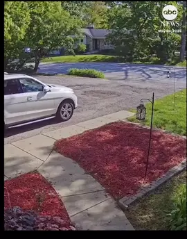 Las imágenes de la cámara de seguridad del hogar capturaron el momento en que un camión explotó dañando varias casas en los suburbios de Chicago.La policía dijo que el conductor sufrió heridas leves. Los investigadores creen que un tanque de propano con fugas que transportaba el camión pudo haber provocado la explosión