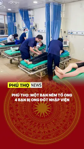Một bạn ném tổ ong khiến 4 bạn bị ong đốt phải cấp cứu... #phutho #hungvuong #chanmong #ong