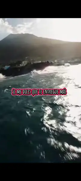 #SalsaYAlgoMas  #SalsaParaElAlma  #SalsaConSabor  Amor Cuánto te amo - Grupo Galé