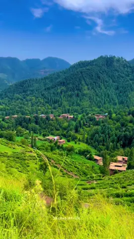 Tol Tirah Nasha Nasha Da ⛰️ 🌸           #tirahvalley #explore #foryoupage #typ #peaceful #viralvideo #watan #mountains #tirahbeautyview #shahab_afridi313 