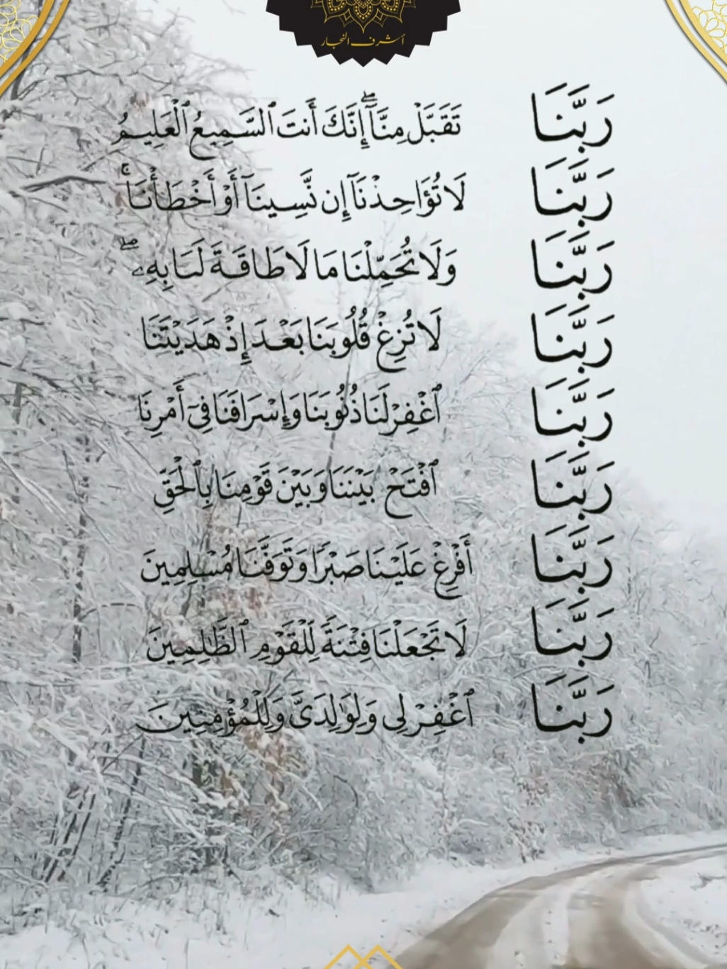 ربنا تقبل منا #ربنا #ربنا_ولا_تحملنا_ما_لا_طاقة_لنا_به #ربنا_اتنا_في_الدنيا_حسنه_وفي_الأخرة #دعاء #أشرف_النجار 