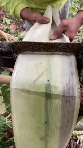 Satisfactory fiber extraction#satisfying#asmr#oddlysatisfying#fyp
