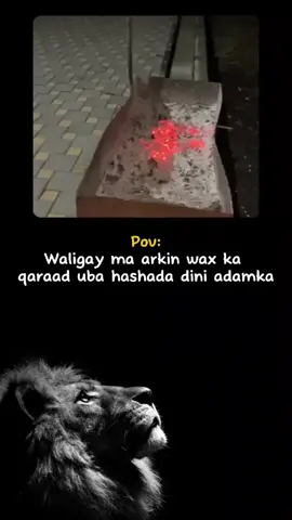 #CapCut #foryou #Alta #man #viralvideo #somali #viral #fyp  #foryoupage #viraltiktok  #fypppppppppppppppppppppp 