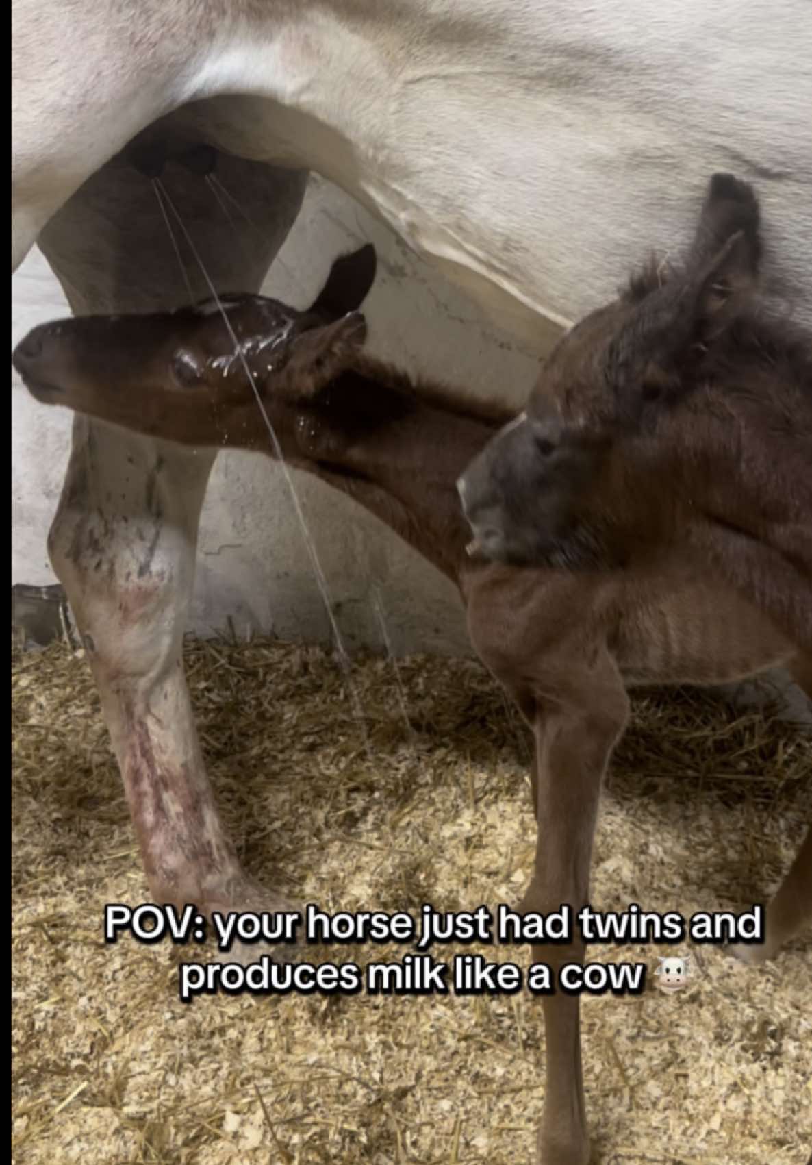 What can I say 🥹🤭 Mommy’s a natural!!🤍