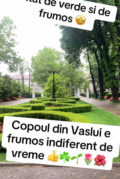 Copoul din Vaslui este frumos indiferent de vreme! E atat de relaxant sa te plimbi prin el cum putine mai sunt in Romania #copou #copout #vaslui #vasluicity #copouvaslui #parc #frumos #beautiful #amazing 