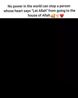 Amir Such A Lucky Man Mashallah ♥️💓🕊️#fypシ #foryou #foryoupage #viralvideo @𝗭𝗢𝗬𝗔🎀💎 