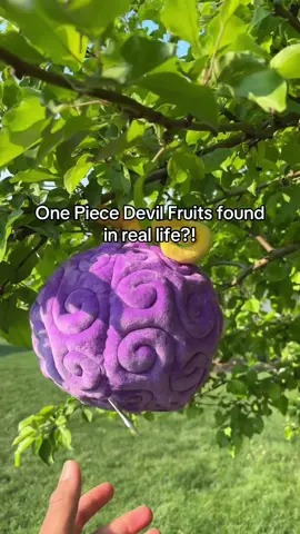 One Piece Devil Fruits in real life?! Only place you can cop is Logpose!🫶🏽#logpose #devilfruits #onepiecedevilfruits #gomugomunomi #merameranomi #animeplush 