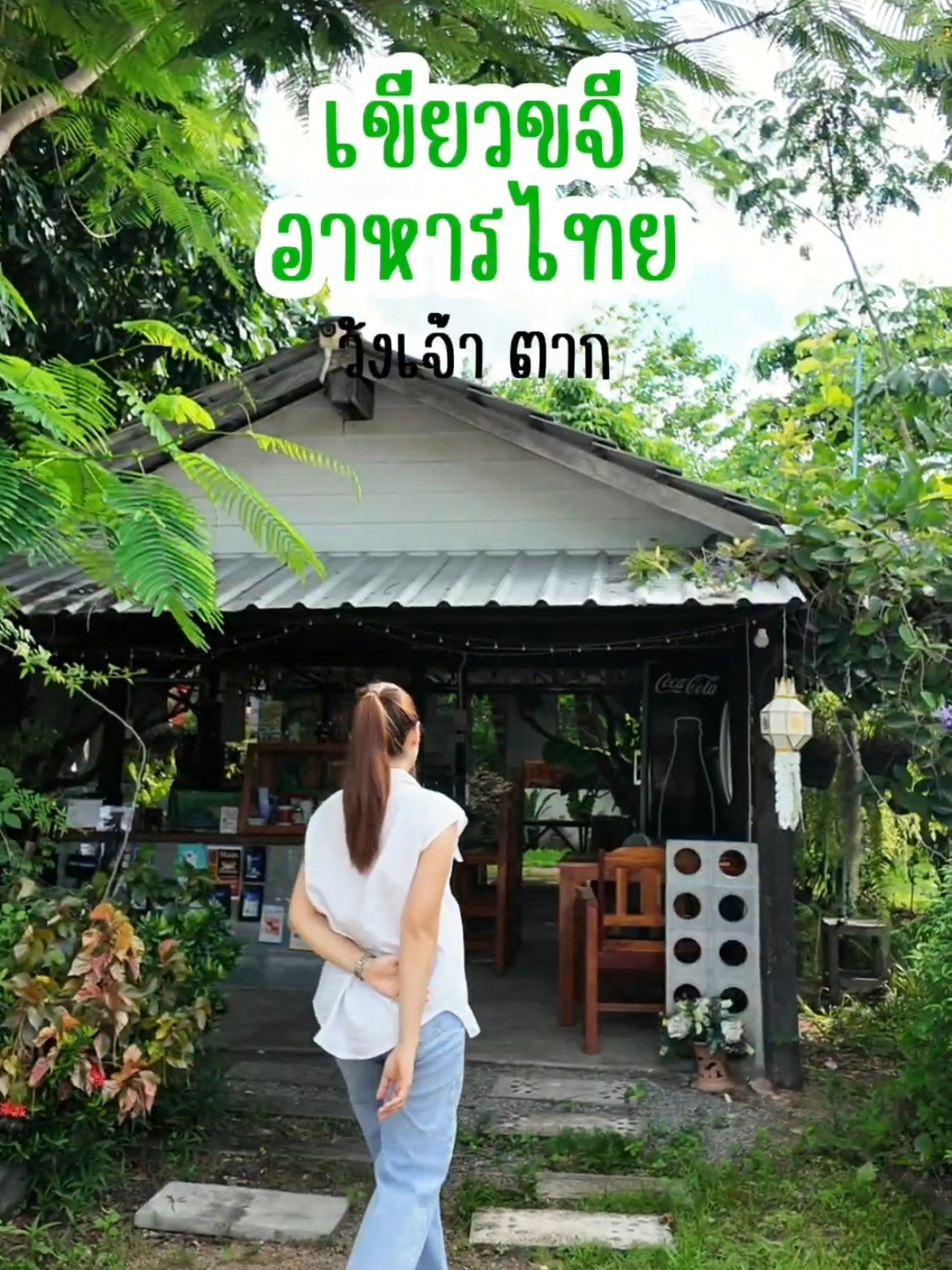 ร้านอาหารไทย จ.ตาก ที่เมอยากแนะนำ รสมือดี อร่อย แซ่บ ร้านเปิดทุกวัน 08:00-18:00 น. พิกัด : อยู่หลังร้านต้นไม้ ชุมชนปากคลองเกาะฤาษี ใกล้ รร.อนุบาลวังเจ้า Pet Friendly 🐱🐶  @gfpriyanud  #เขียวขจีอาหารไทย #ร้านเขียวขจี #Whangchao #tak #ร้านอาหารตาก #ร้านเด็ดตาก #ตาก #เมชอบเที่ยว #รีวิวตาก #tiktokพากิน 