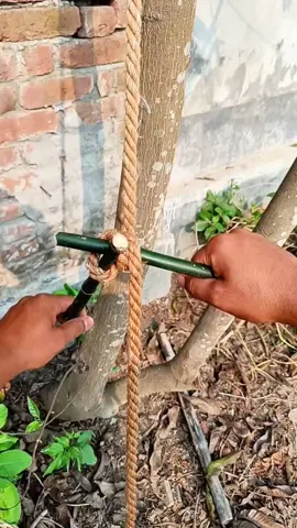 Rope knot techniques#knot #lifehacks#trick#satisfying#foryou#CapCut 